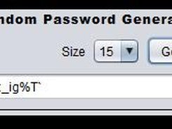 Radom Password Example