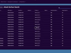 Attack Surface Search