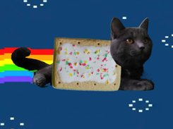 Nyan is love, Nyan is life