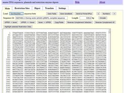 The Wily DNA Editor Main Interface