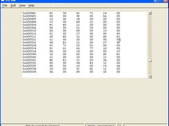 THE editing a binary file