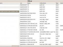 Decompiled clean syscall handler