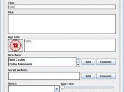 GUI of the information of a movie (no skin in Windows XP)