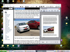 Showing Article Print Window