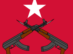 Rebel team