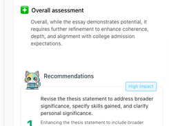 Details of feedback provided by thesify.ai