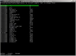 Widgets on Win32