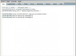 Example of the debug window, with various active tabs