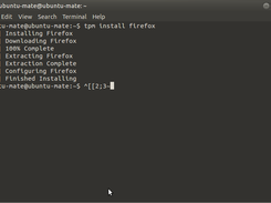 Thomas's Package Manager Screenshot 1