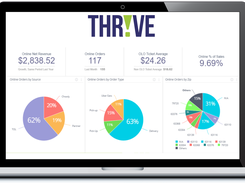 Enterprise reporting from Thrive Analytics 