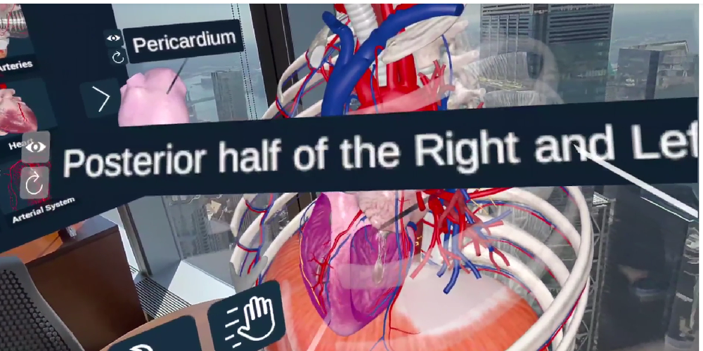 3D Organon Screenshot 1