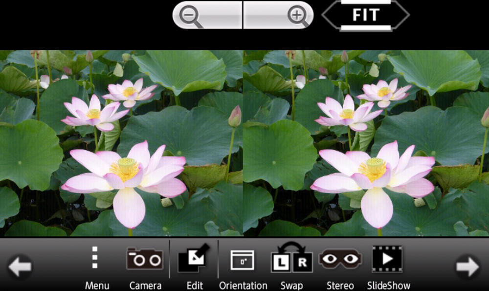 3DSteroid Pro Screenshot 1