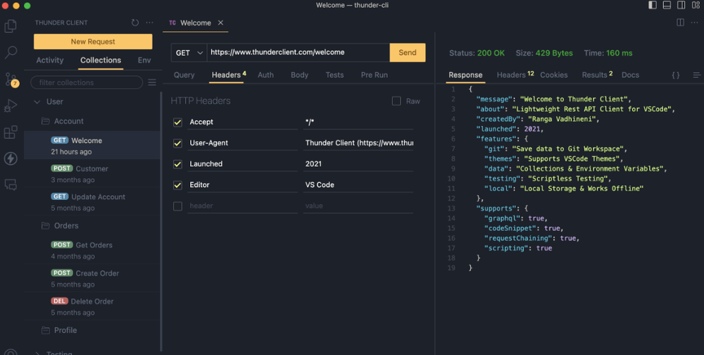 Thunder Client Screenshot 1