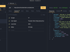 Thunder Client Screenshot 1