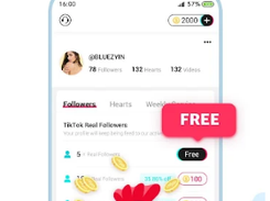 TikFame Screenshot 2