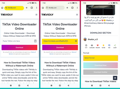 Tikvidly Screenshot 1