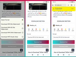 Tikvidly Screenshot 2