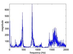 Spectra of a musical note
