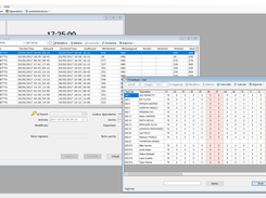 Timesheet and clock punches