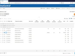 TimeControl 8 Timesheet