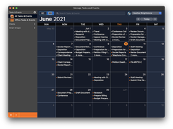 TimeNet Law calendar view