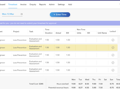 TimeSitePro-TimeSheet2