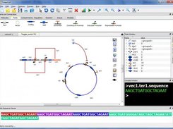 Circular plasmid and DNA sequence