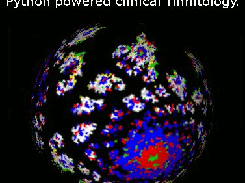 tinnitology Screenshot 3