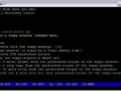 A session with a split screen prompt bar