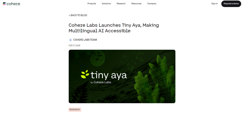 Tiny Aya Screenshot 1