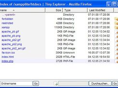 Tiny Explorer in Firefox