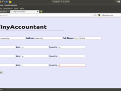 TinyAccountant Screenshot 1