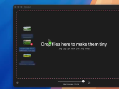 TinyFast Screenshot 1