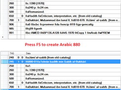 Transliterate selected romanized field and Create 880