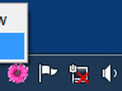 The context menu of the icon in the system tray