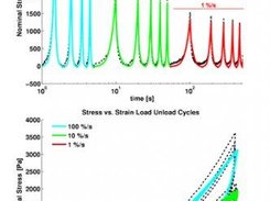 January 16, 2010: Brain tissue exp. data and model fit