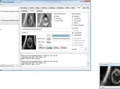 Voyager Qt showing Minimax Snake