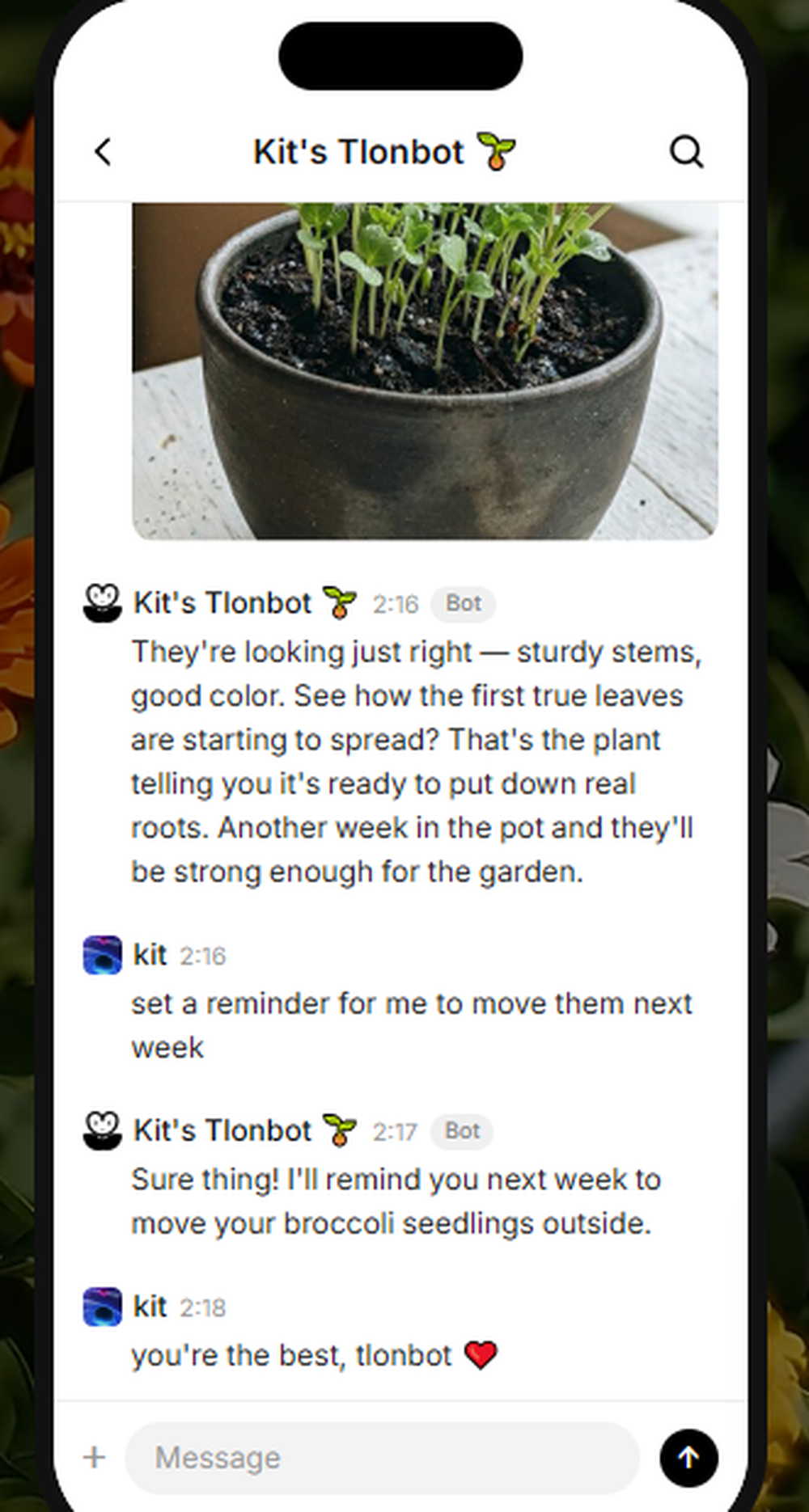 Tlon Messenger Screenshot 1