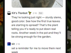 Tlon Messenger Screenshot 1