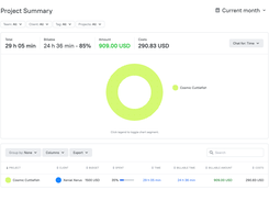 Projects Summary Report