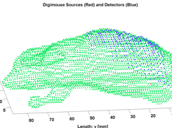 Source (red) and detector (blue) node positions.