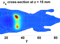 Absorption (mua) mesh cross section plotted in MATLAB.