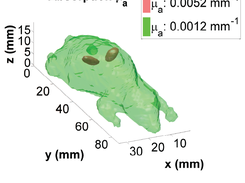 Absorption (mua) isosurface plotted in MATLAB.