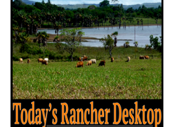 Today's Rancher Screenshot 1