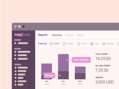 Visualize Time Reports