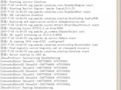 Operation Results of Tomcat Command Line