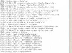 Operation Results of Tomcat Command Line