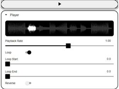 sample screenshot - player