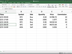 Example of crypto portfolio file prepared using Excel