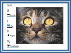 Sample of Image Tooltip